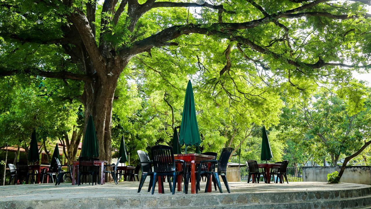 Malwathu Oya Caravan Park Bed & Breakfast Anuradhapura Eksteriør bilde