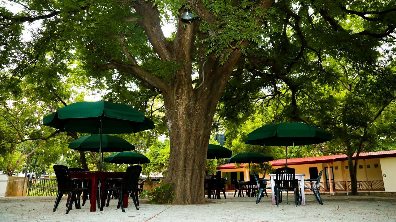 Malwathu Oya Caravan Park Bed & Breakfast Anuradhapura Eksteriør bilde
