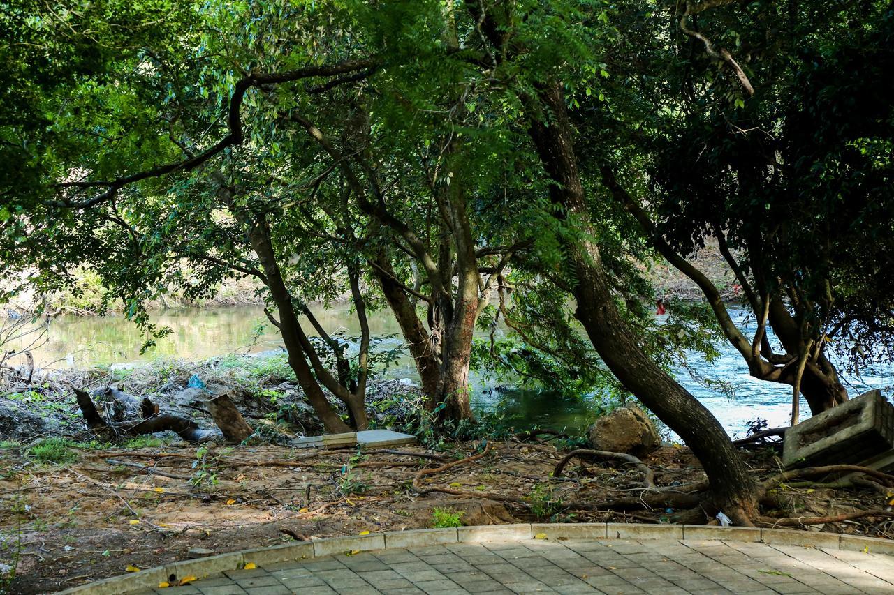 Malwathu Oya Caravan Park Bed & Breakfast Anuradhapura Eksteriør bilde